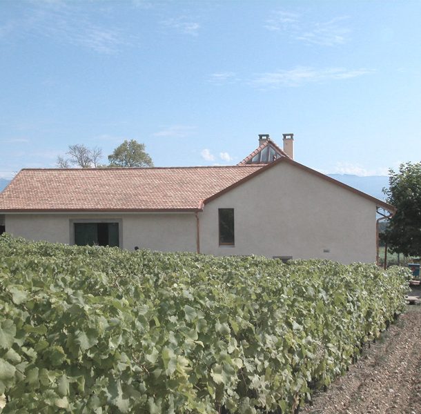 Maison vigneronne | Viborne