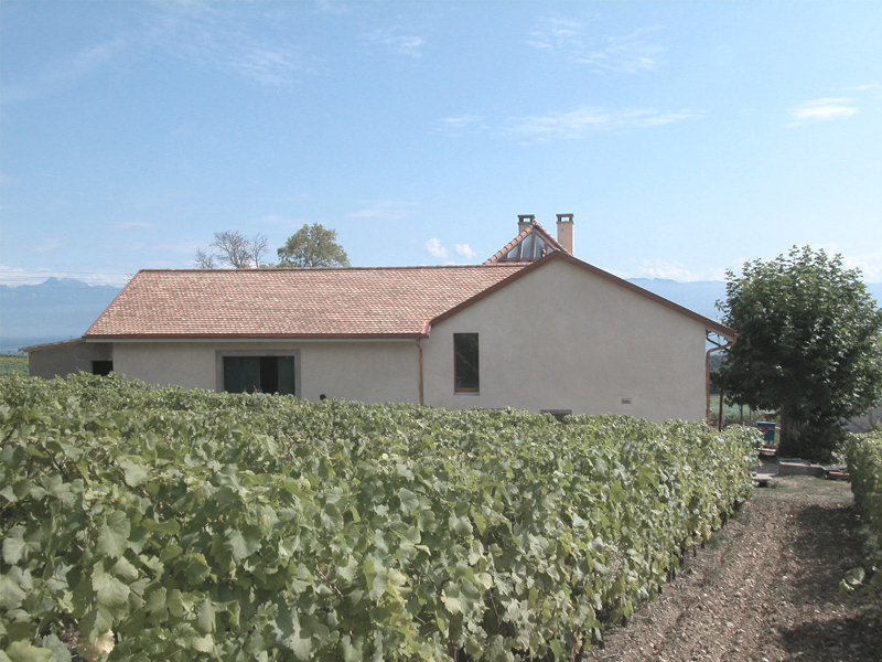 Maison vigneronne | Viborne